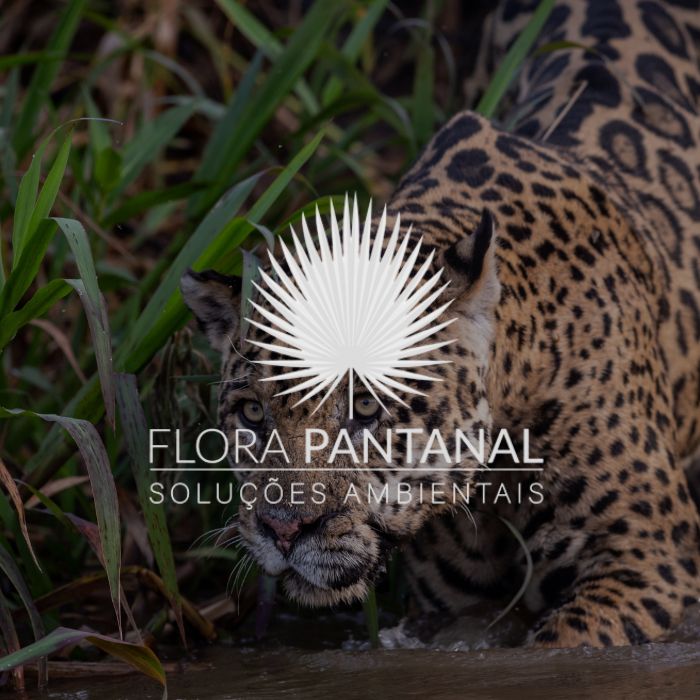 Forest Friends Donate Flora Pantanal