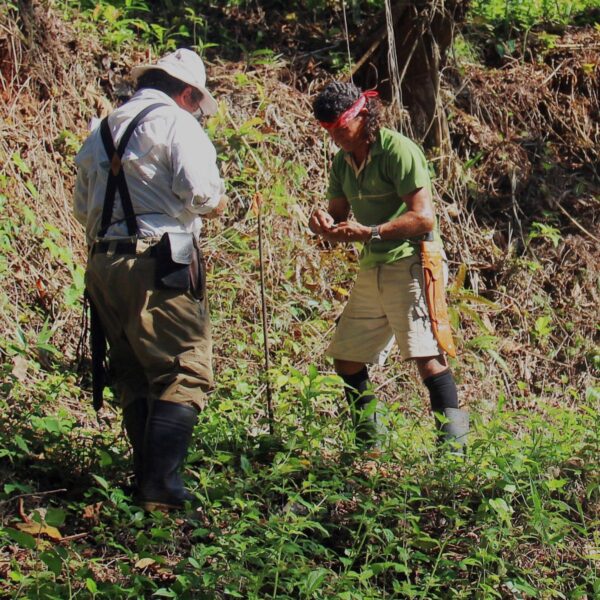 Reviving Nature and Educating Communities in Costa Rica - Image 7