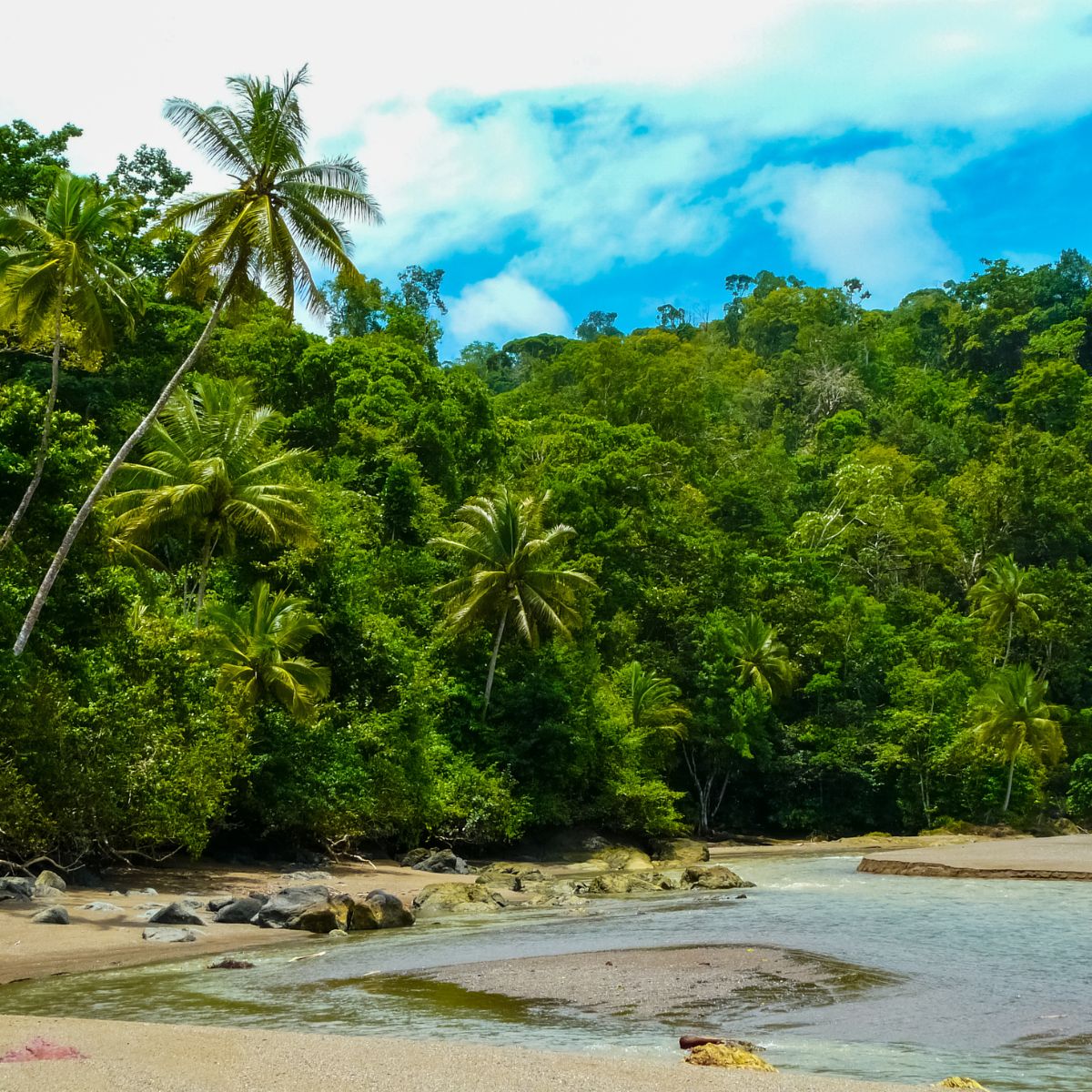 Reviving Nature and Educating Communities in Costa Rica