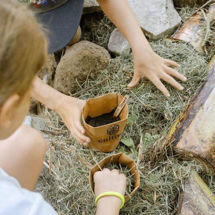 Forest Friends Donate Cultiva