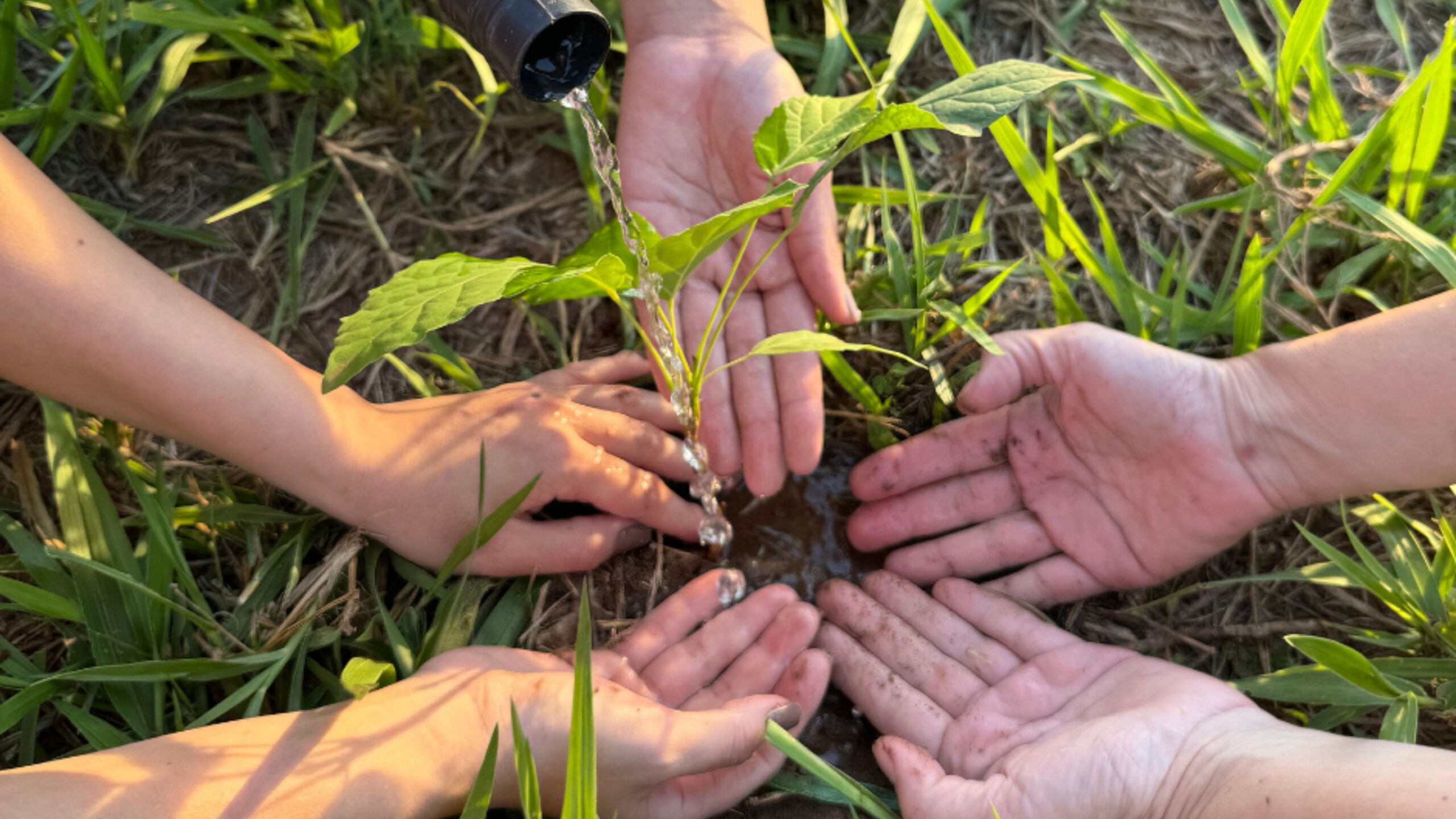 Grupo Rio da Prata Recanto Ecológico Estância Mimosa Lagoa Misteriosa (19)