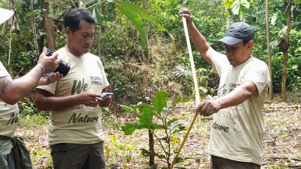 Regenerative Travel A Path to Protecting the World’s Trees