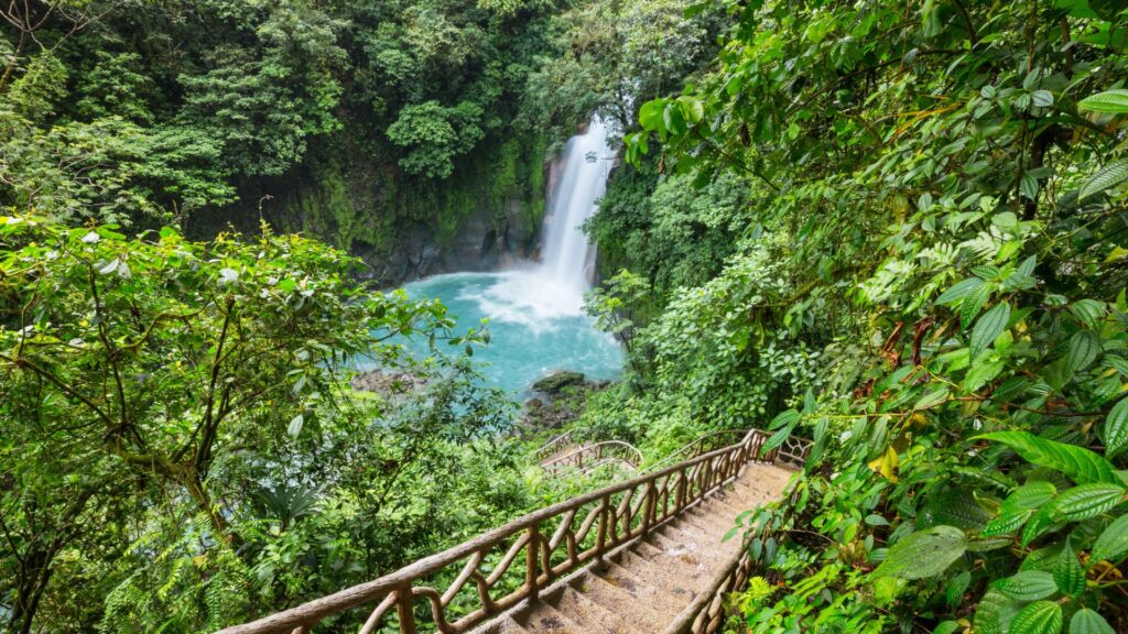 The Magic of Cloud Forests_ A Haven for Nature and Ecotourism