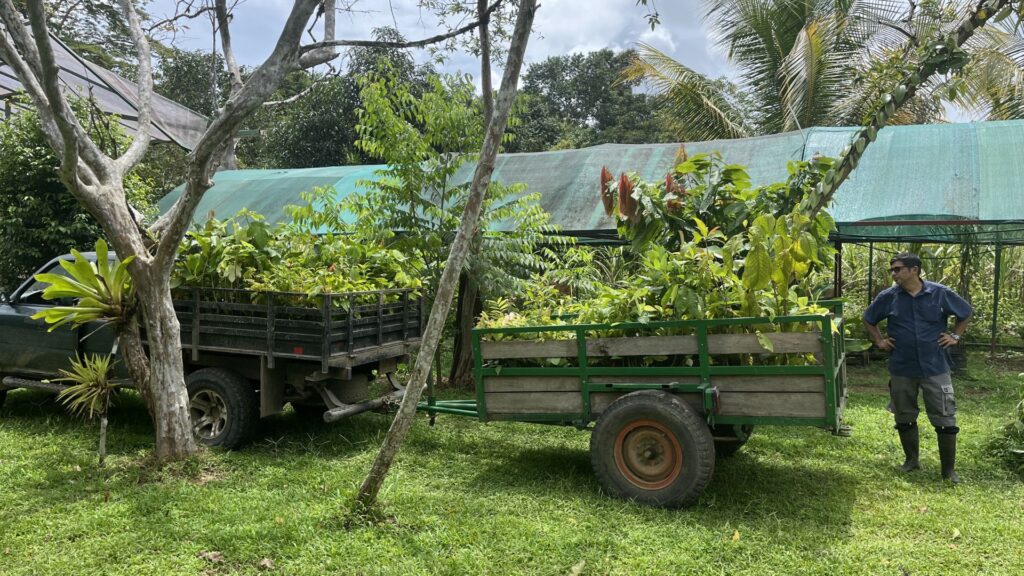 The Magic of Cloud Forests_ A Haven for Nature and Ecotourism